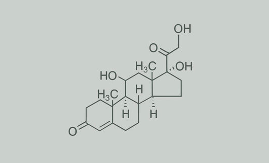 How to Design a Space That Lowers Cortisol